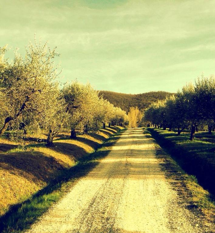 Podere Le Corone Villa Monte Castello di Vibio Buitenkant foto