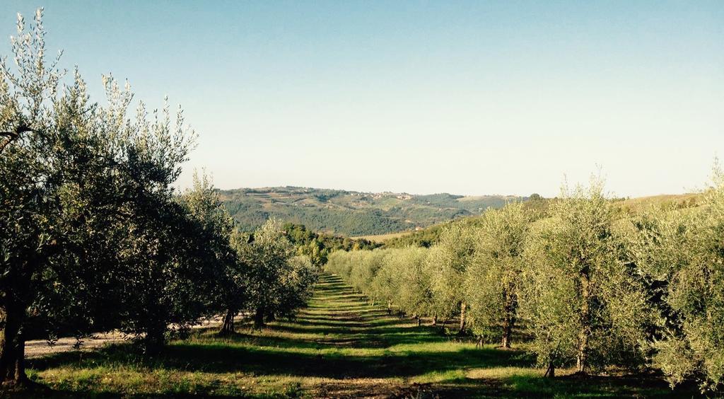 Podere Le Corone Villa Monte Castello di Vibio Buitenkant foto