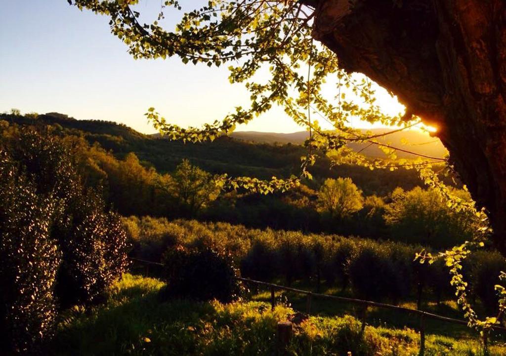 Podere Le Corone Villa Monte Castello di Vibio Buitenkant foto