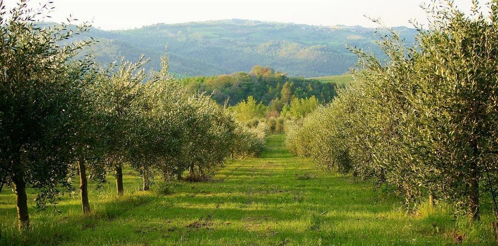Podere Le Corone Villa Monte Castello di Vibio Buitenkant foto